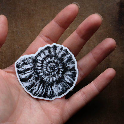 Ammonite Fossil - Single Sticker