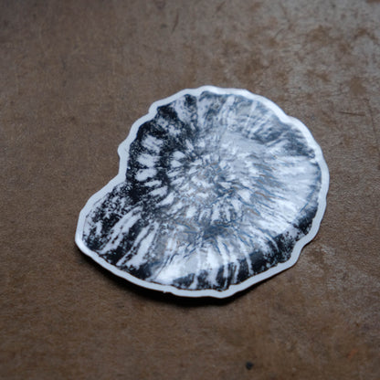 Ammonite Fossil - Single Sticker