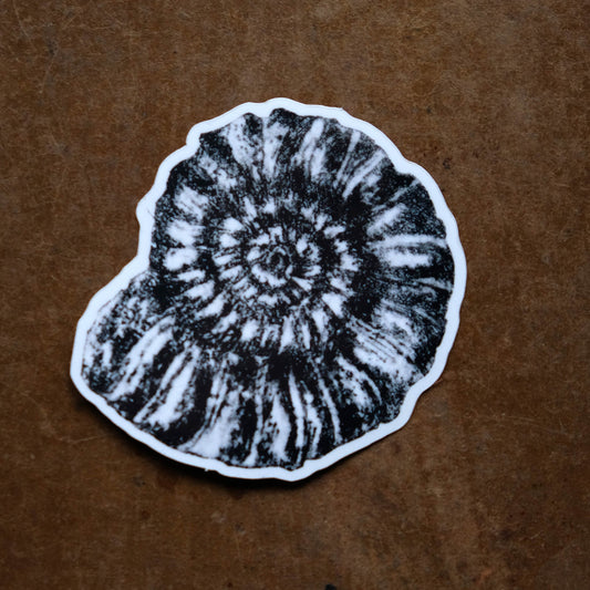 Ammonite Fossil - Single Sticker