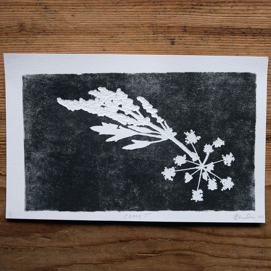 Comet #2 - Cow Parsley Botanical Monoprint