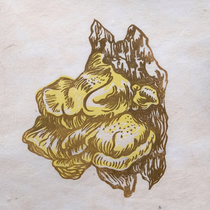 Chicken Of The Woods Fungi - Limited Edition Lino Print