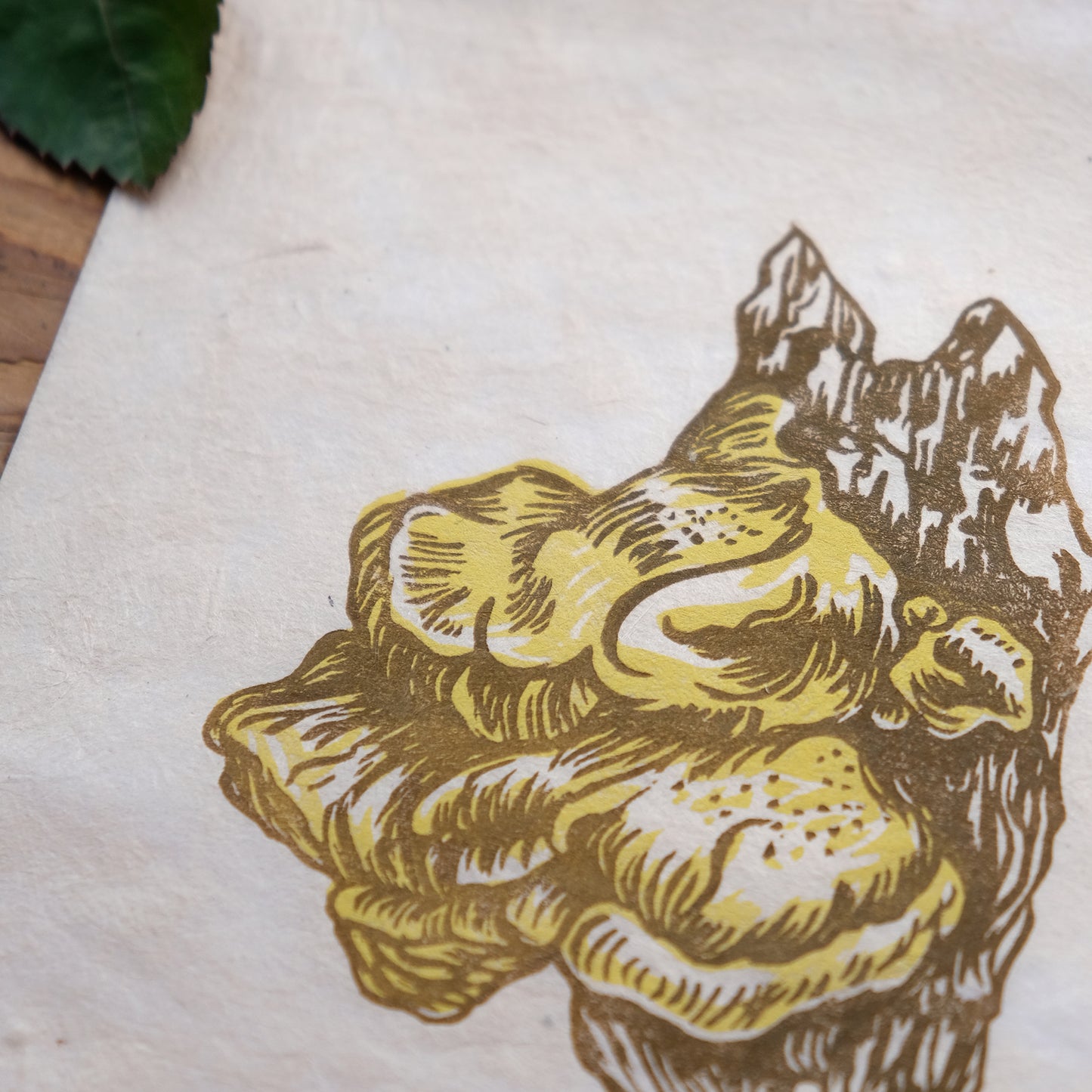 Chicken Of The Woods Fungi - Limited Edition Lino Print