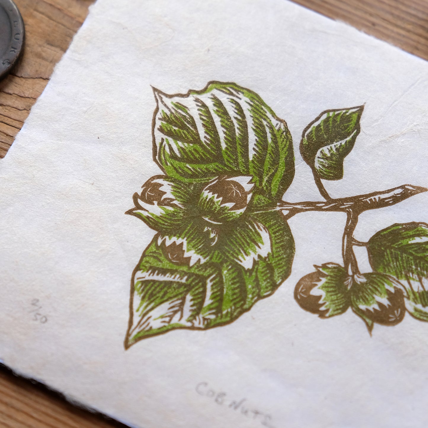 Cob Nuts - Limited Edition Hazelnut Lino Print