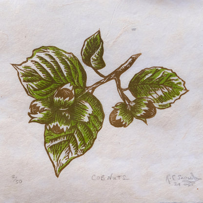 Cob Nuts - Limited Edition Hazelnut Lino Print