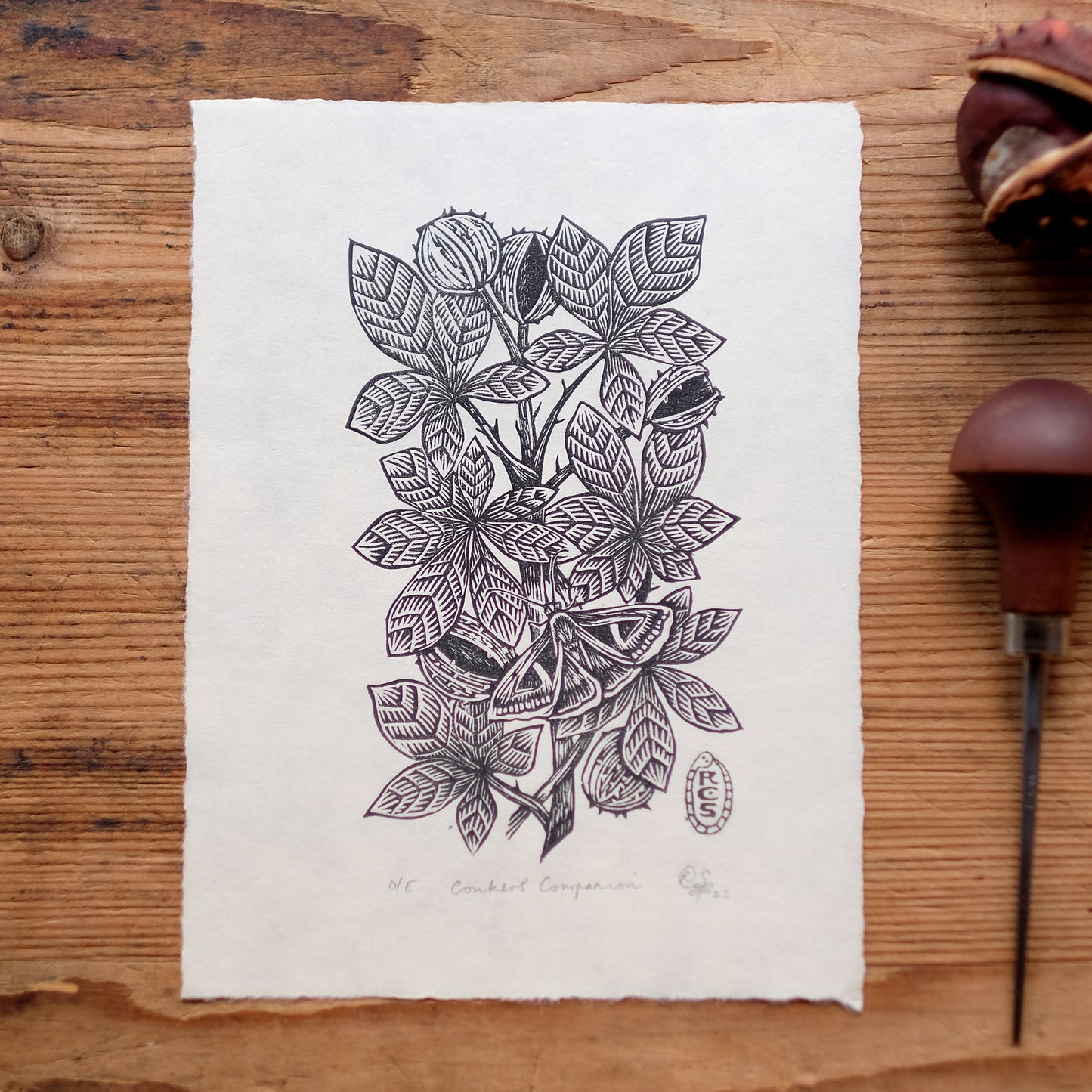 Conkers' Companion - Lino Print