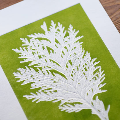 Evergreen No.3 - Botanical Monoprint