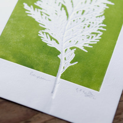 Evergreen No.3 - Botanical Monoprint