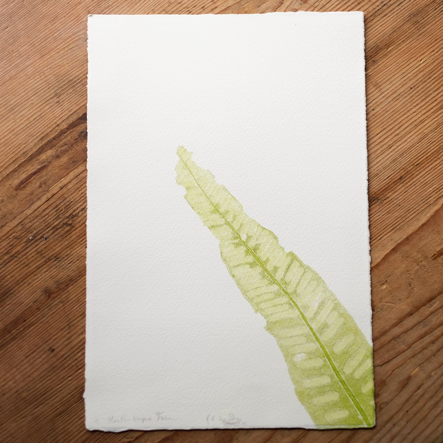 Hart's Tongue Fern - Botanical Monoprint