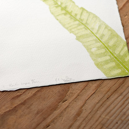 Hart's Tongue Fern - Botanical Monoprint