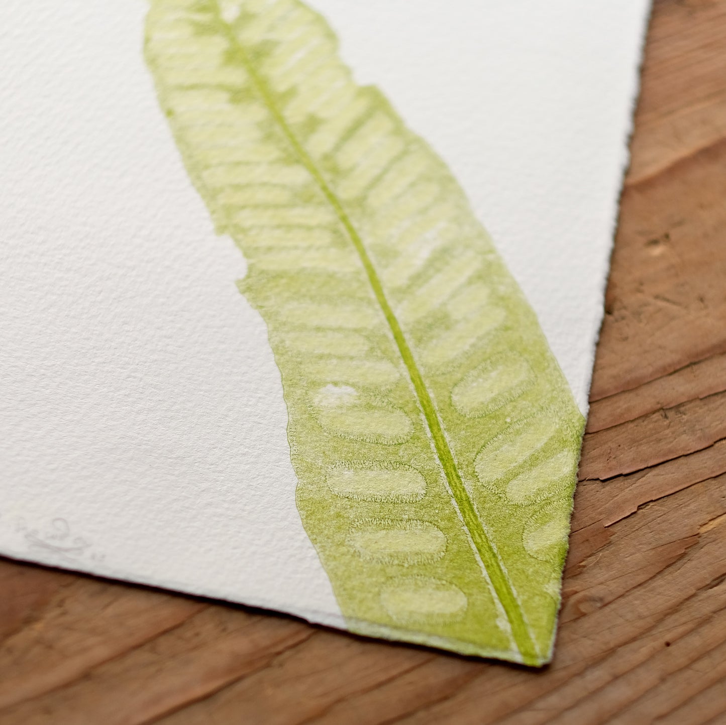 Hart's Tongue Fern - Botanical Monoprint