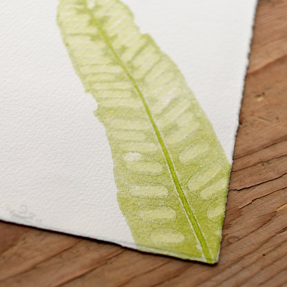 Hart's Tongue Fern - Botanical Monoprint