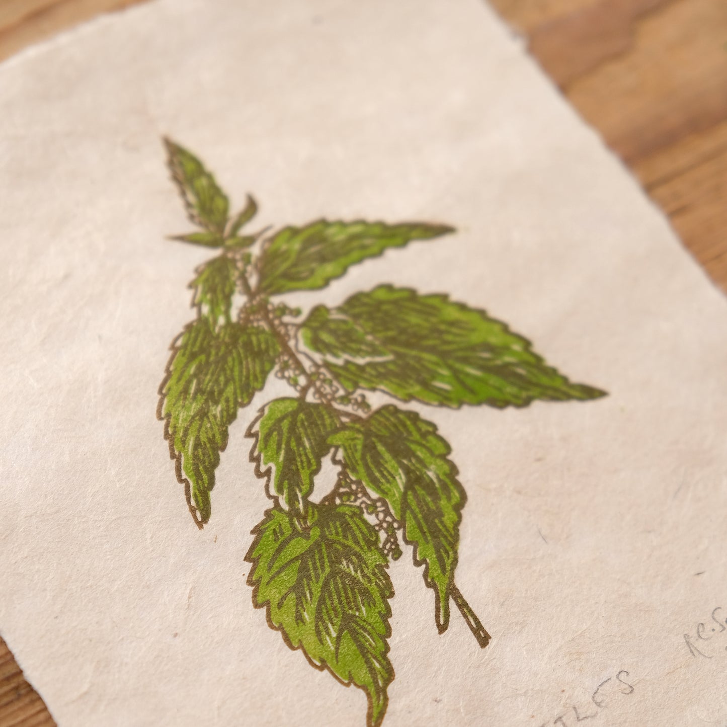 PRE-ORDER: Nettles - Limited Edition Nature Lino Print