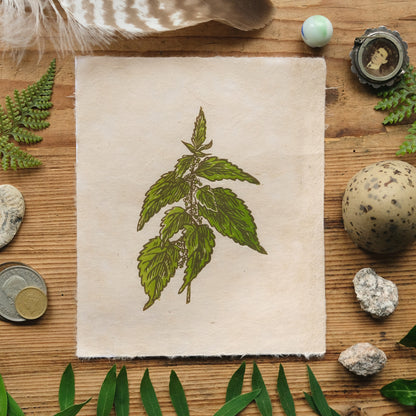 PRE-ORDER: Nettles - Limited Edition Nature Lino Print