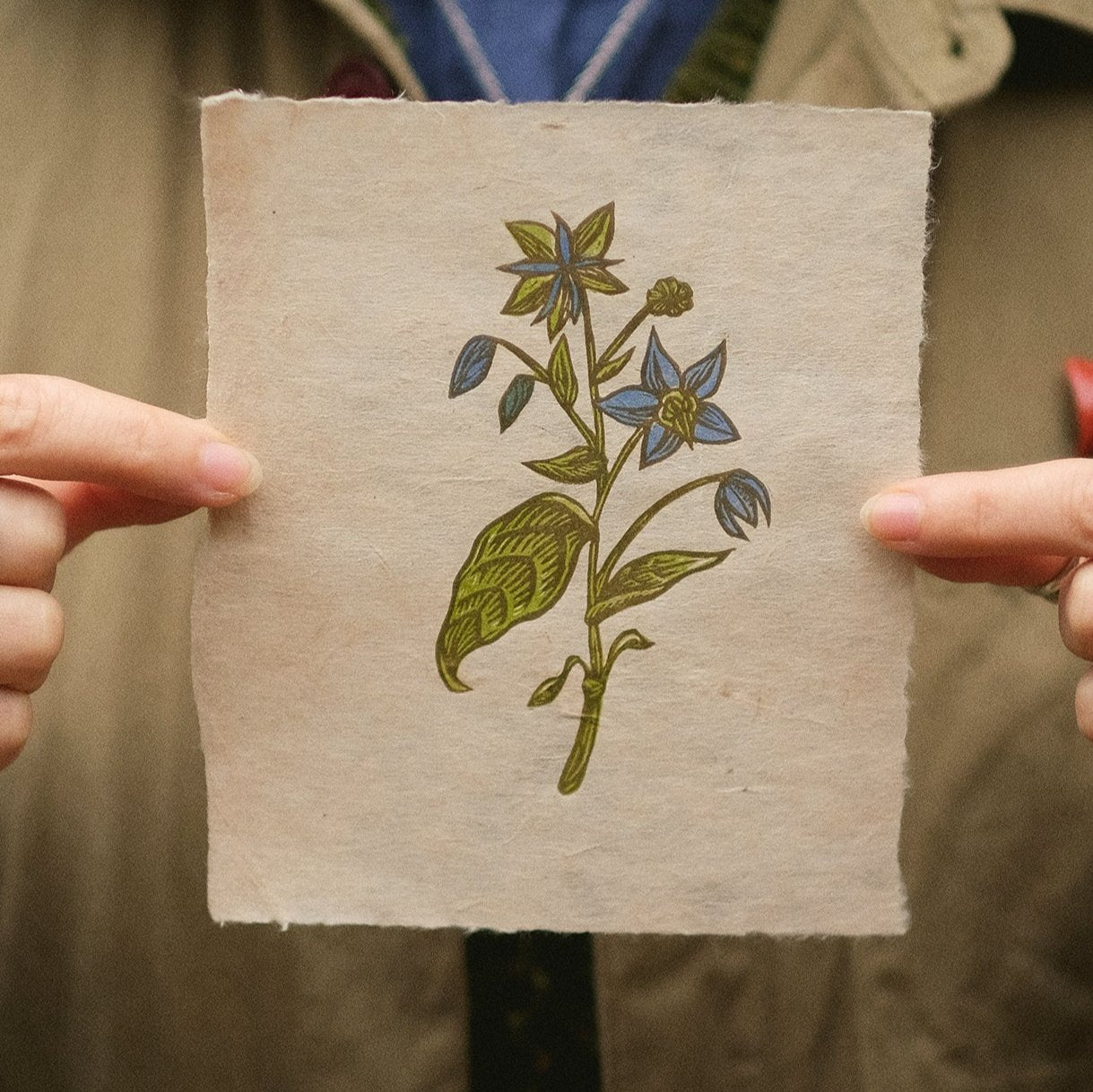 PRE-ORDER: Borage - Limited Edition Botanical Lino Print