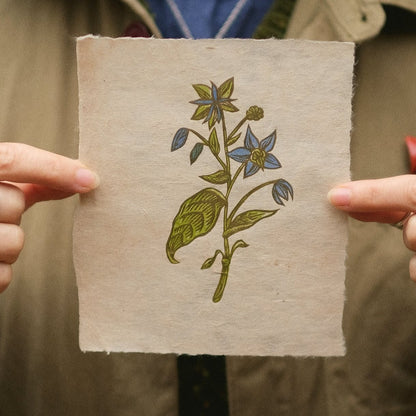 PRE-ORDER: Borage - Limited Edition Botanical Lino Print