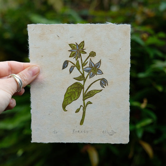 PRE-ORDER: Borage - Limited Edition Botanical Lino Print