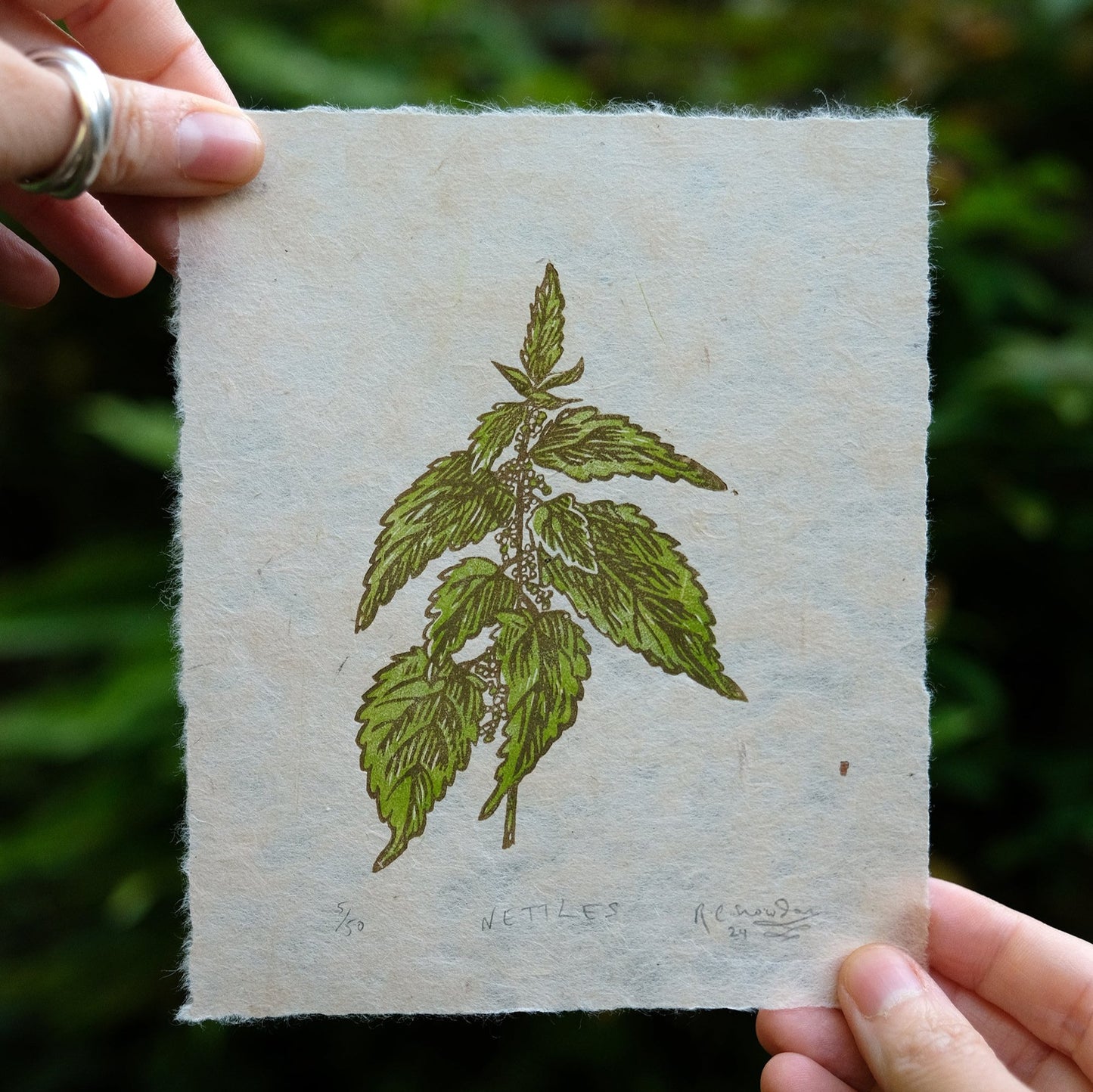 PRE-ORDER: Nettles - Limited Edition Nature Lino Print