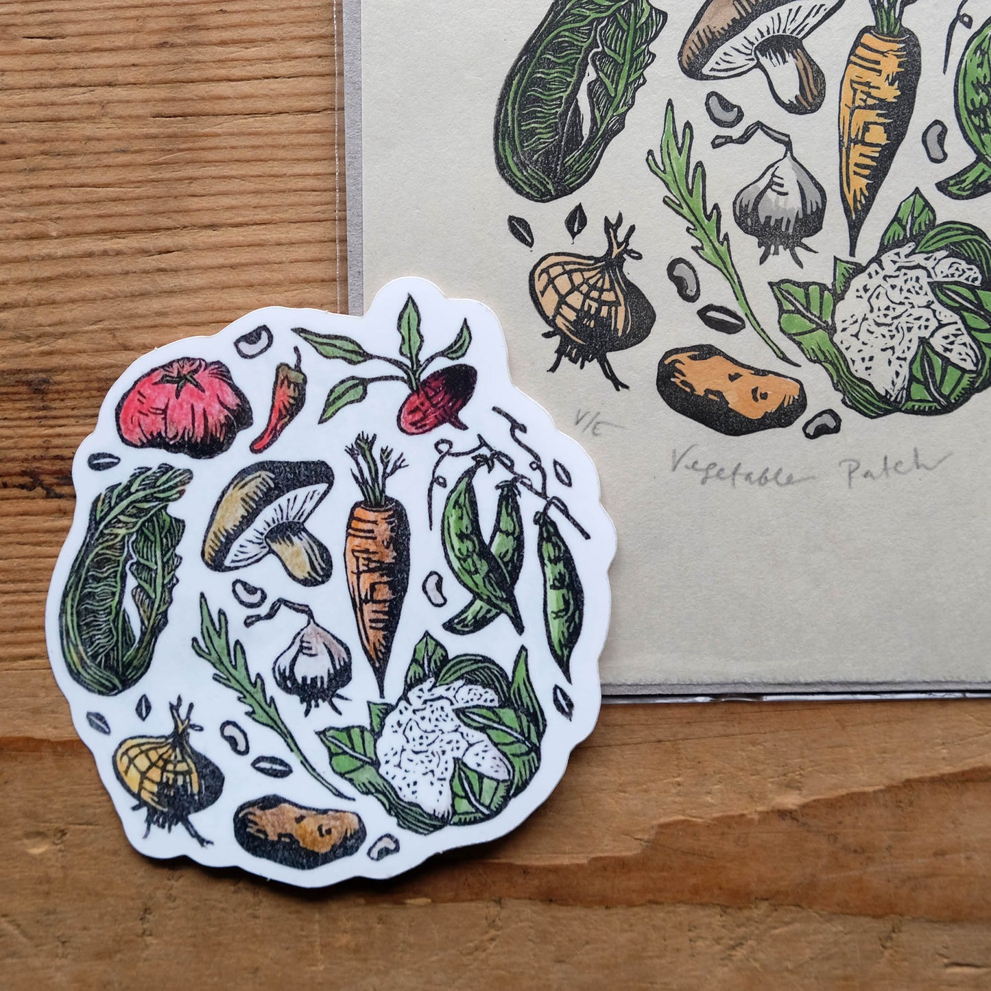 Vegetable Circle - Single Sticker