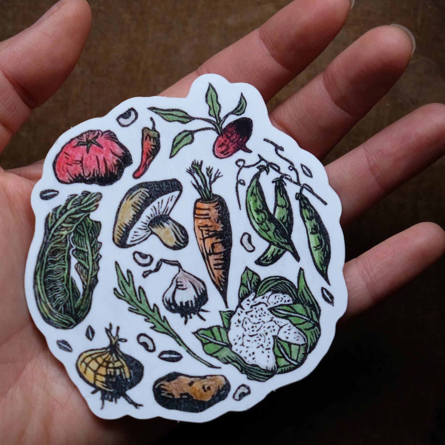 Vegetable Circle - Single Sticker