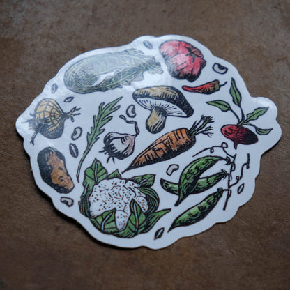 Vegetable Circle - Single Sticker